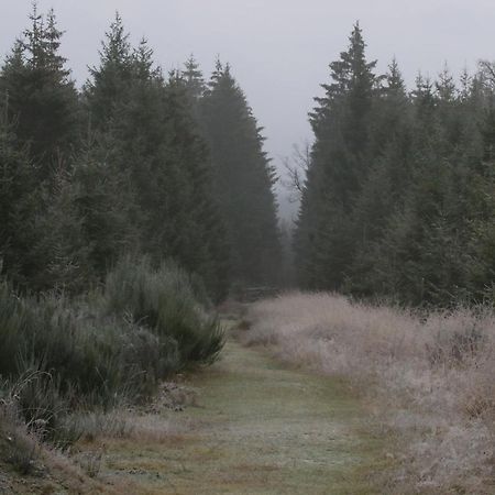 Le Clos Du Cerf - La Renardiere Villa Stoumont Buitenkant foto